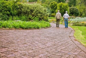 What to Do If You Witness Nursing Home Abuse What to Do If You Witness Nursing Home Abuse